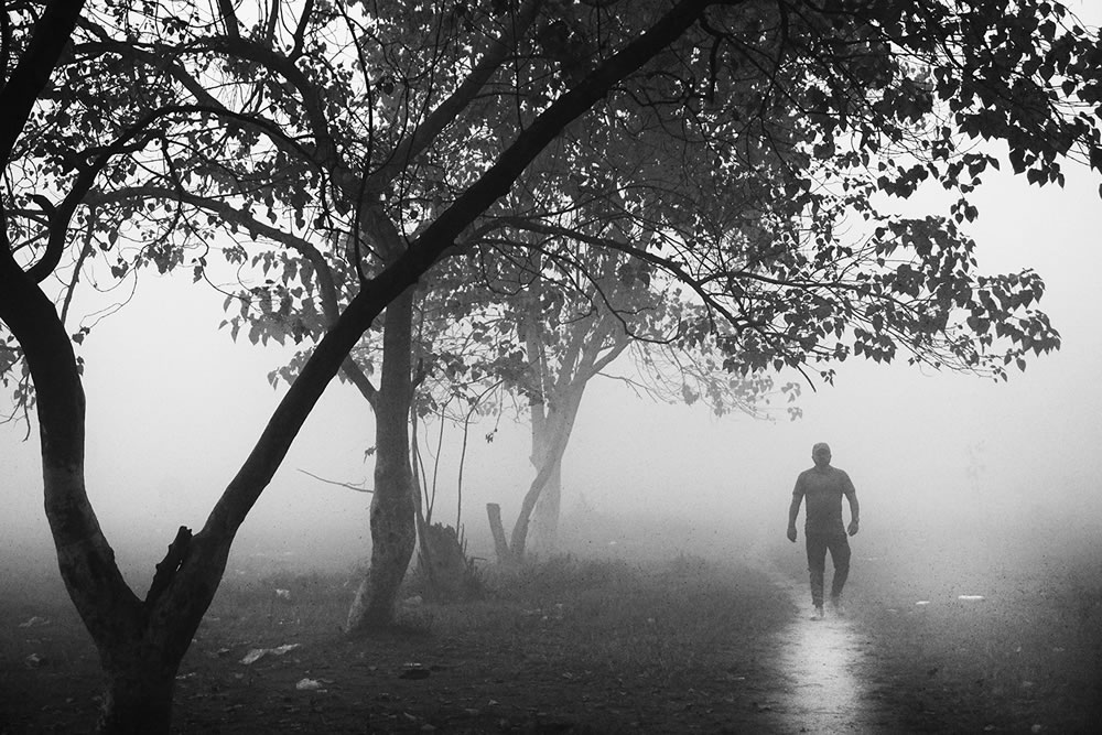 Foggy Winter Morning In Kolkata By Dipanjan Chakraborty