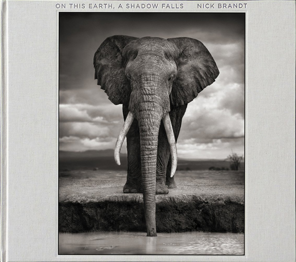 On This Earth, A Shadow Falls by Nick Brandt