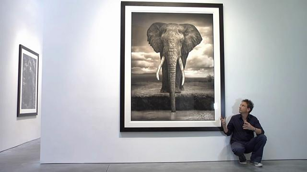 Nick Brandt - Inspiration from Masters of Photography 