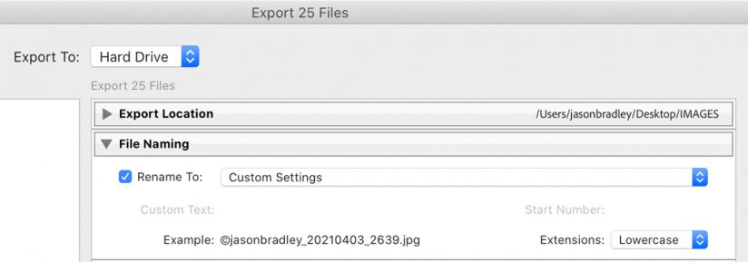 Screen shot of Lightroom's File Naming settings.