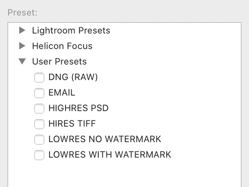 An example of user presets in Lightroom.