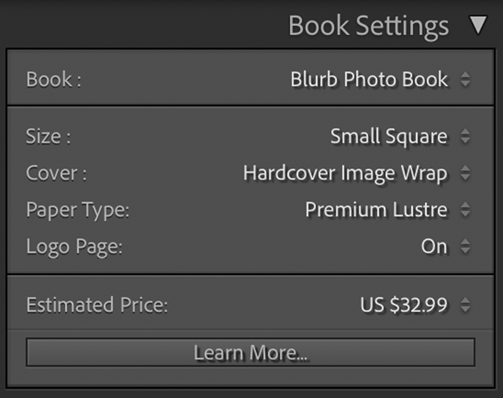 Screen shot of Lightroom's Book settings.