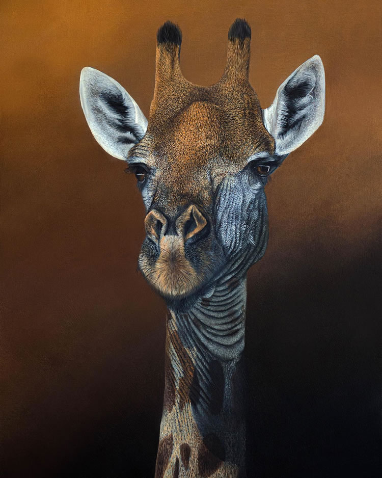 Realistic Animal Paintings By Sophie Green