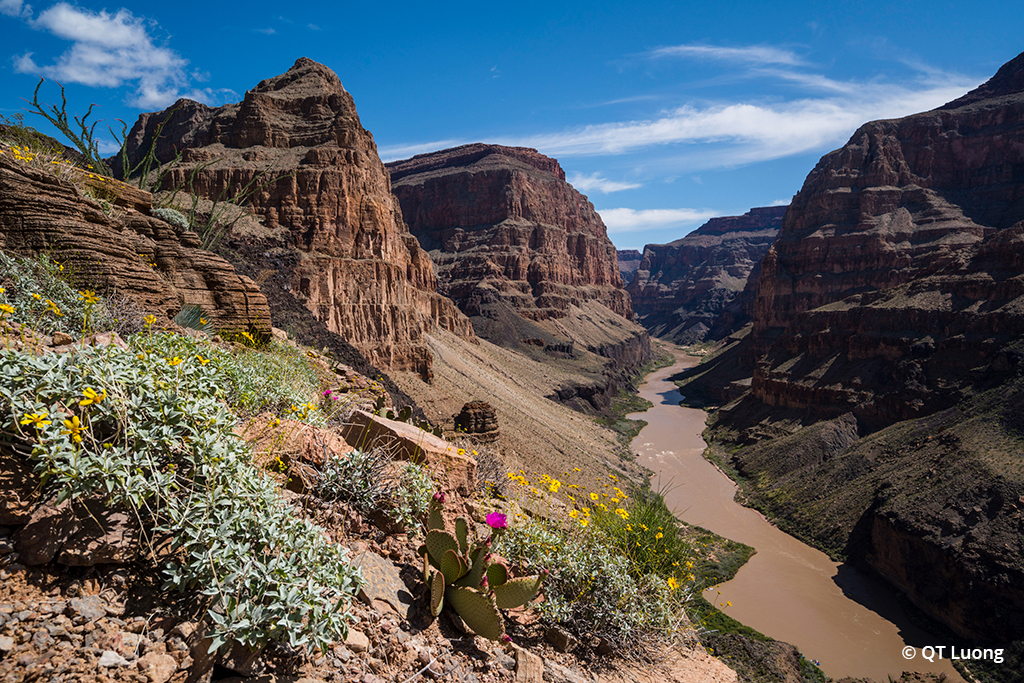 Photograph taken at Grand Canyon-Parashant National Monument