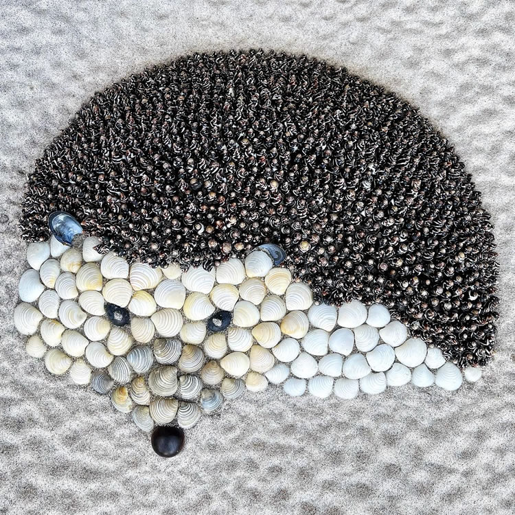 Seashells On The Beach Art By Anna Chan