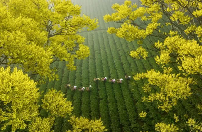 Vietnam Aerial Photography By Pham Huy Trung