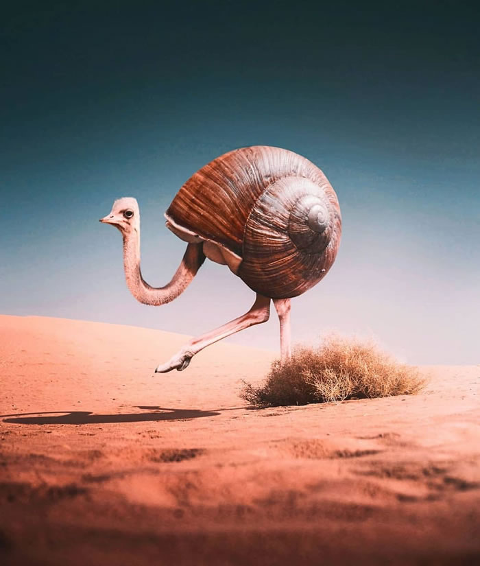 Surreal Photo Manipulations By Ronald Ong