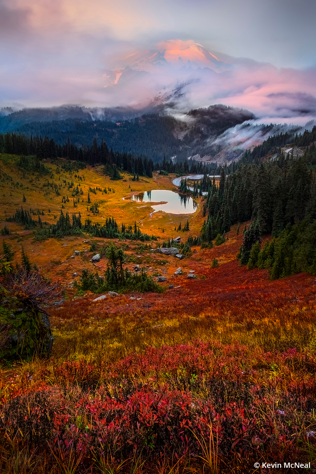 Photo of fall colors at Mount Rainier