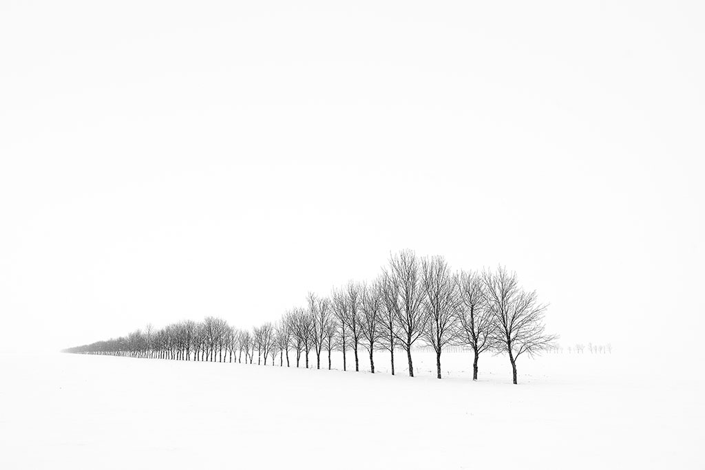 Photo of a snowy landscape