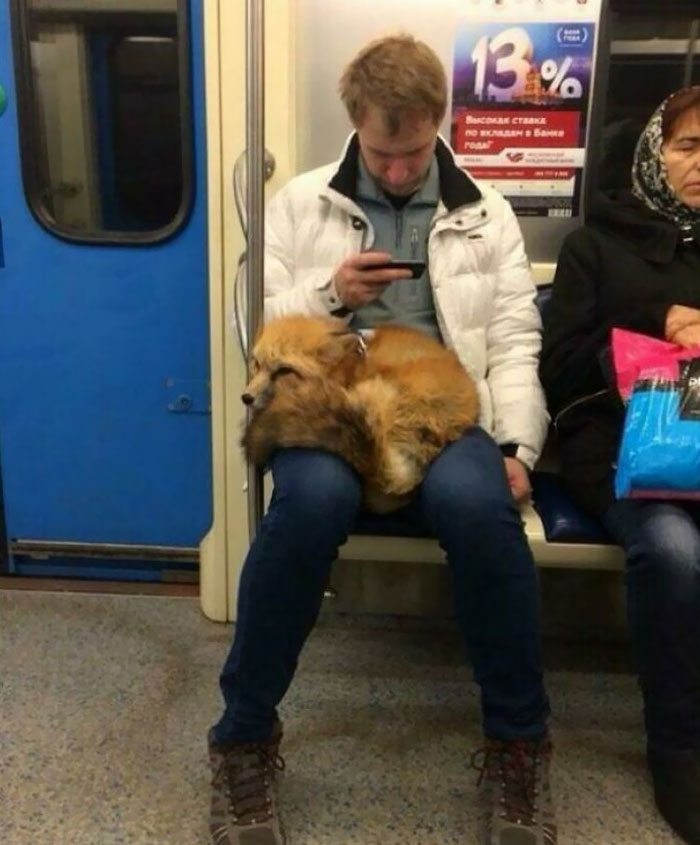 Funny And Strange Things Spotted On The Subway