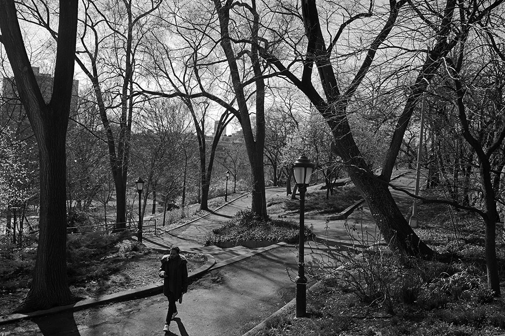 Photo of New York park