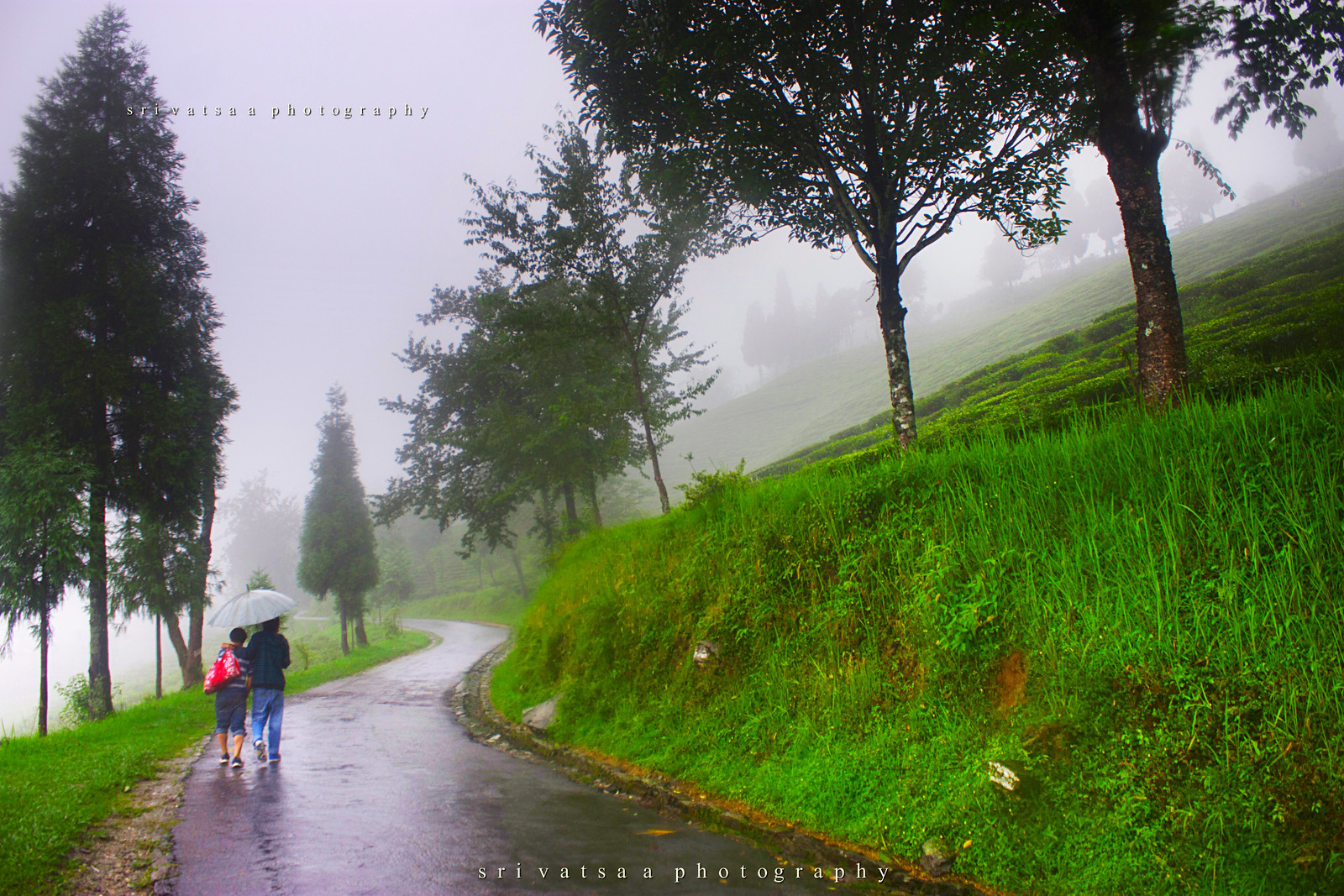 Monsoon moments - Monsoon Photography Gallery