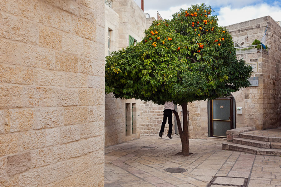 Orange Tree. Jerusalem - Street Photography and the art of composition photos