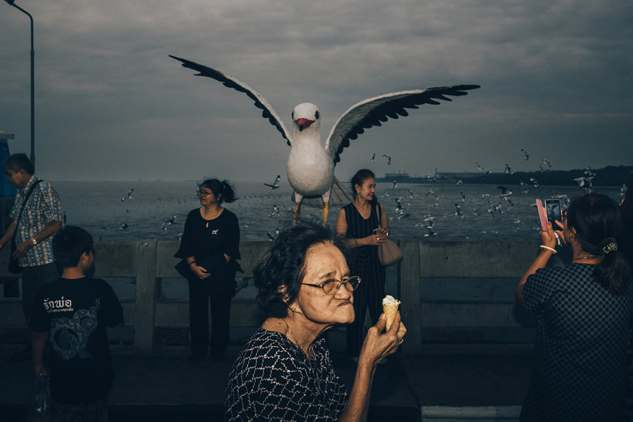 A giant seagull - Street Photography and the art of composition photos