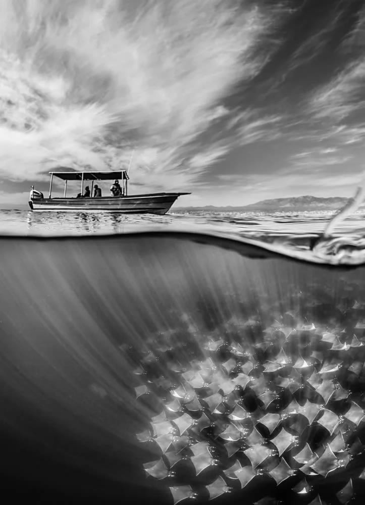 Travel Photographer Of The Year Awards