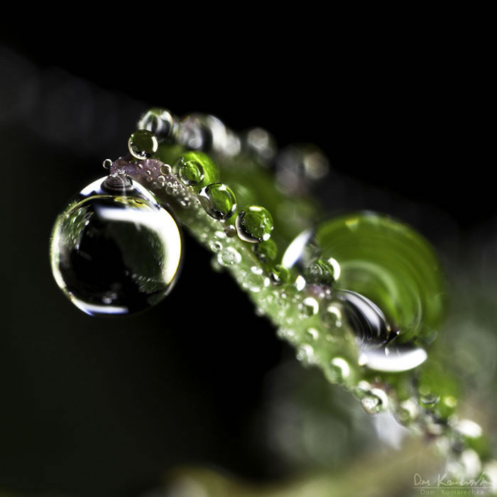 Water Droplet Photos By Don Komarechka