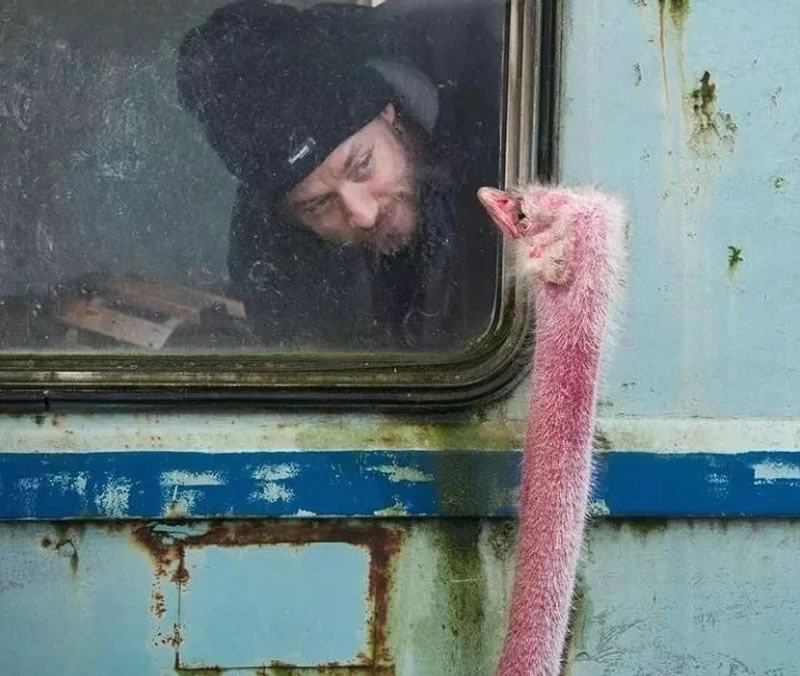 Power of Perfect Timing in Street Photography