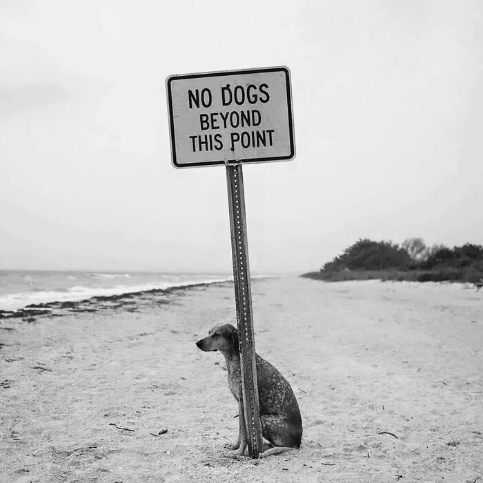 Power of Perfect Timing in Street Photography