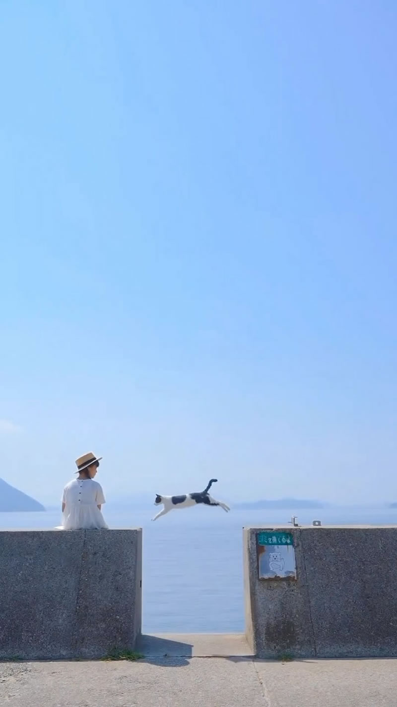 Power of Perfect Timing in Street Photography