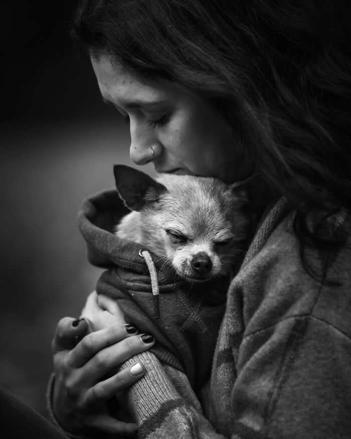 Heartfelt Photos That Capture the Last Goodbyes Between Pets and Owners