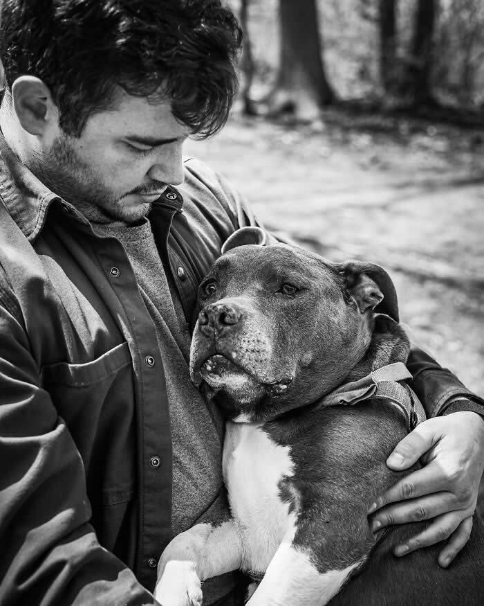 Heartfelt Photos That Capture the Last Goodbyes Between Pets and Owners