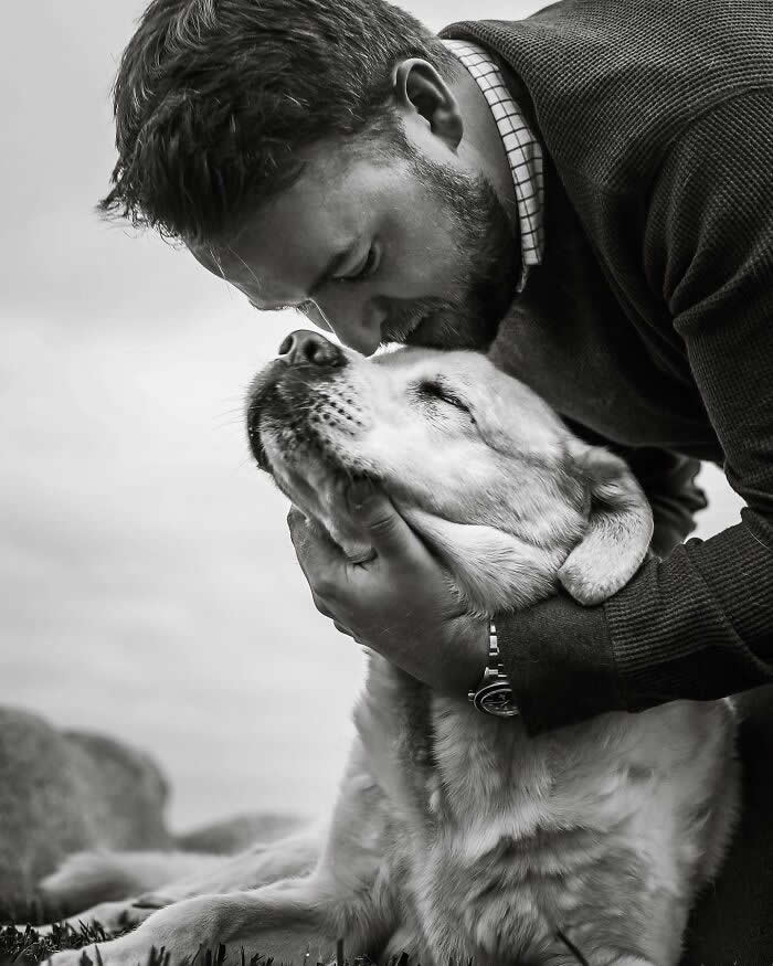 Heartfelt Photos That Capture the Last Goodbyes Between Pets and Owners