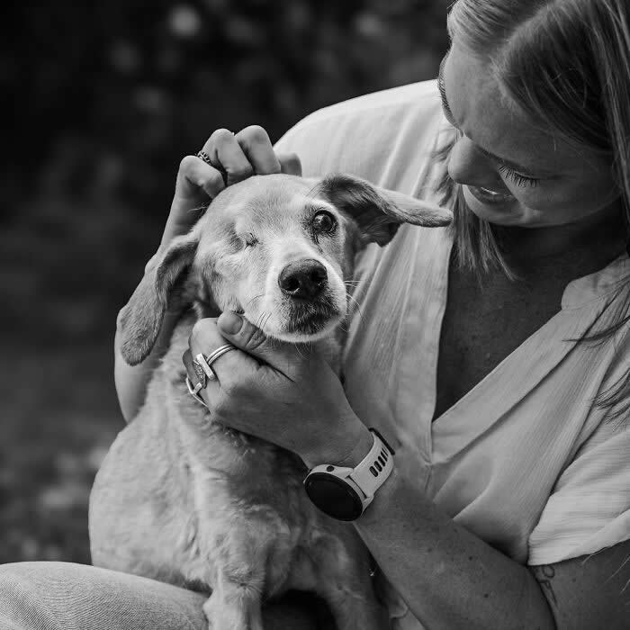Heartfelt Photos That Capture the Last Goodbyes Between Pets and Owners