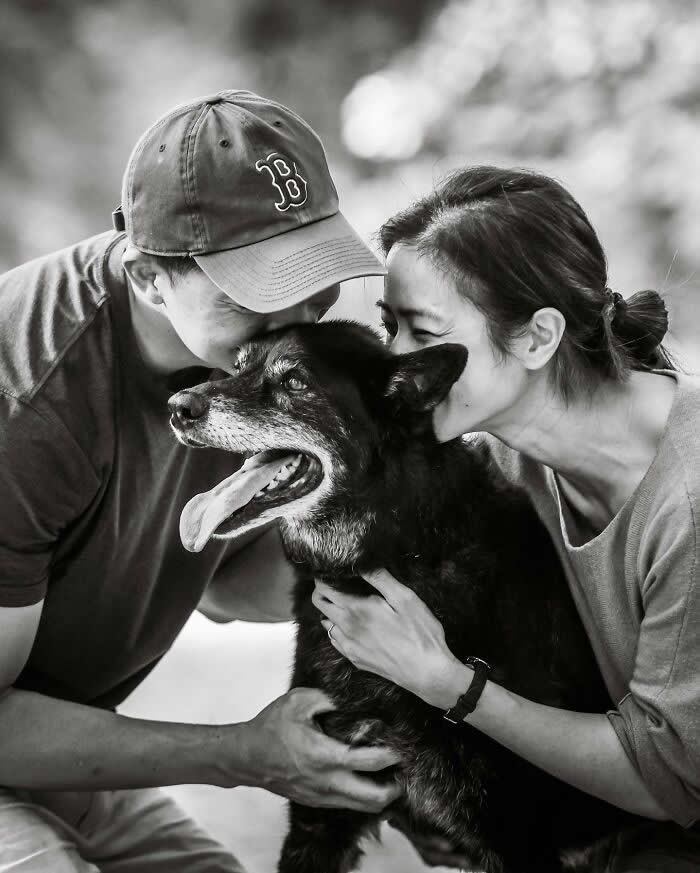 Heartfelt Photos That Capture the Last Goodbyes Between Pets and Owners