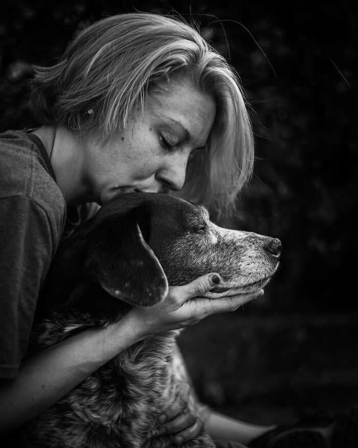 Heartfelt Photos That Capture the Last Goodbyes Between Pets and Owners