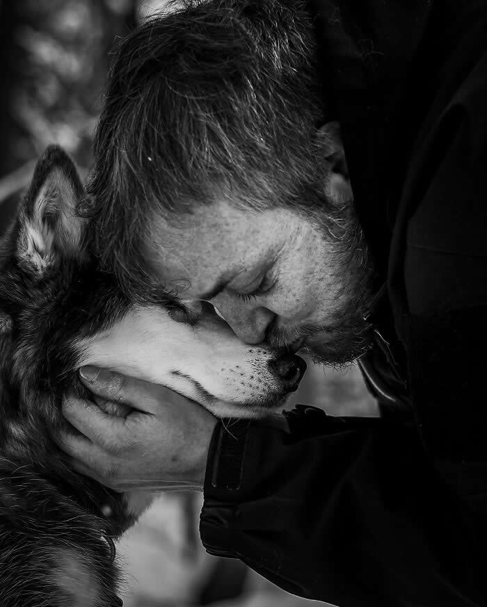 Heartfelt Photos That Capture the Last Goodbyes Between Pets and Owners