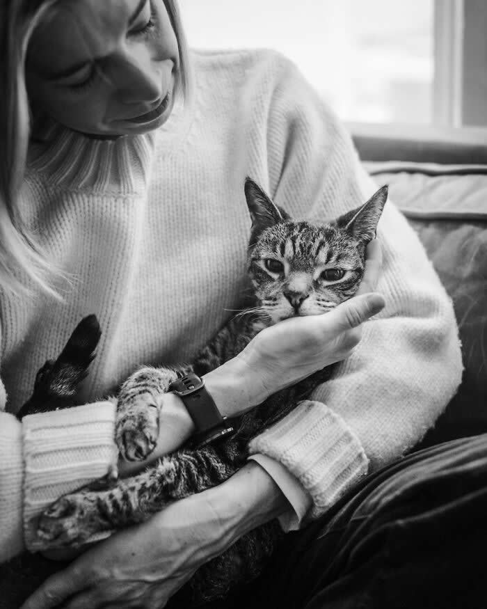 Heartfelt Photos That Capture the Last Goodbyes Between Pets and Owners