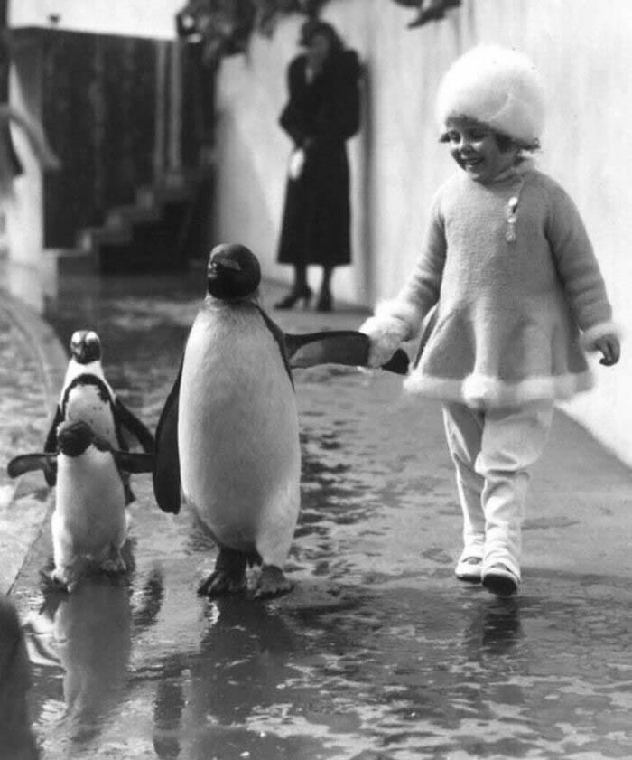 Rare Historical Photos That Tell Untold Stories