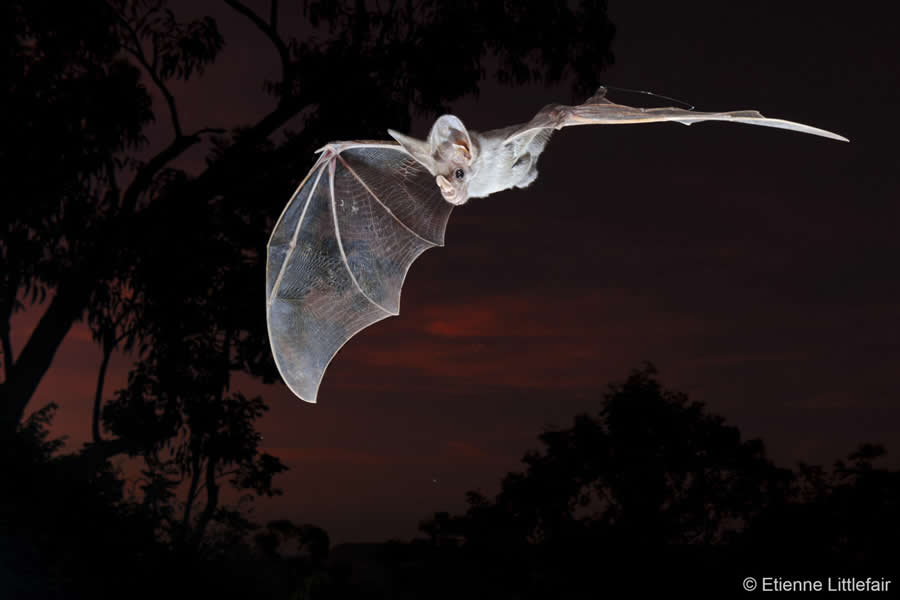 Australian Geographic Nature Photographer of the Year 2025 Winners