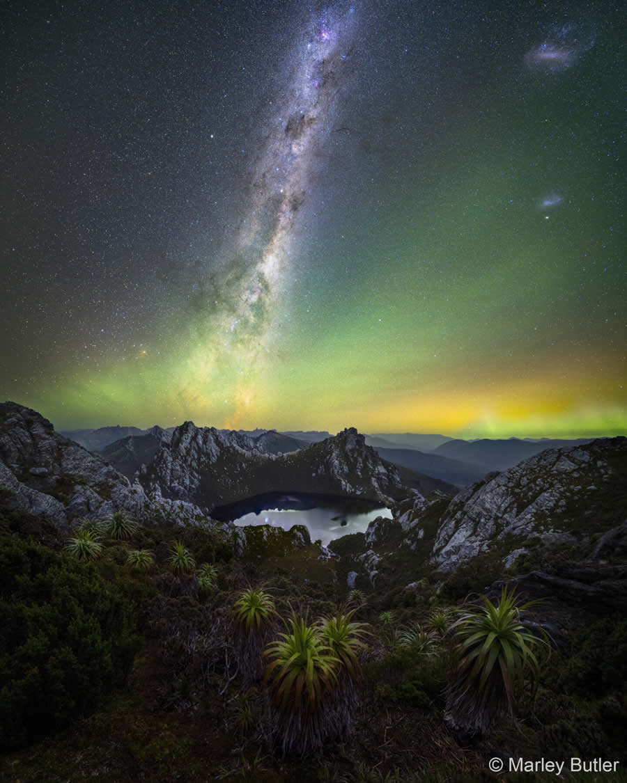Australian Geographic Nature Photographer of the Year 2025 Winners