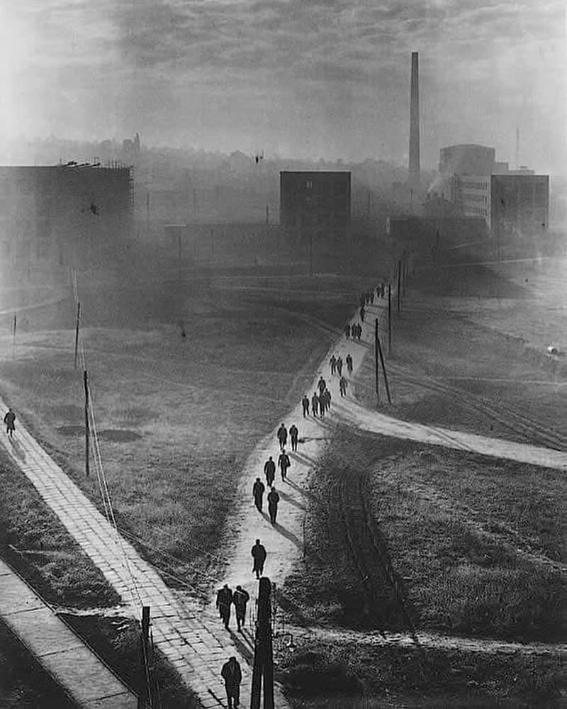 Analog Photographs That Capture the Timeless Beauty