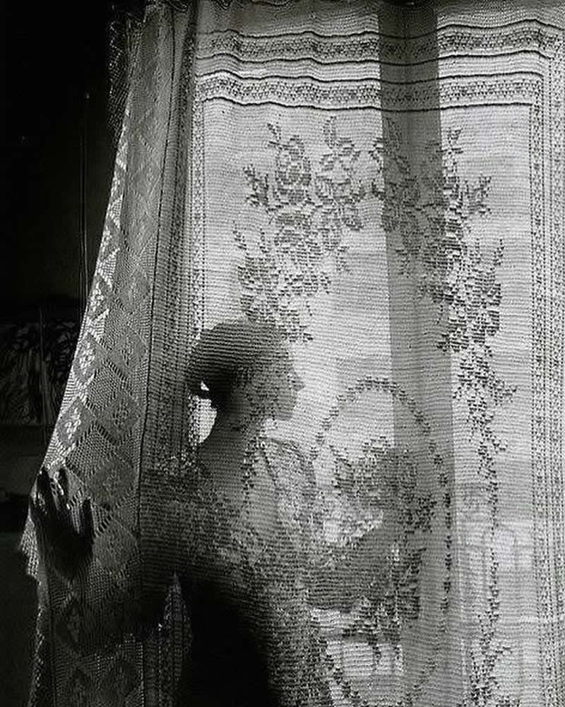 Analog Photographs That Capture the Timeless Beauty