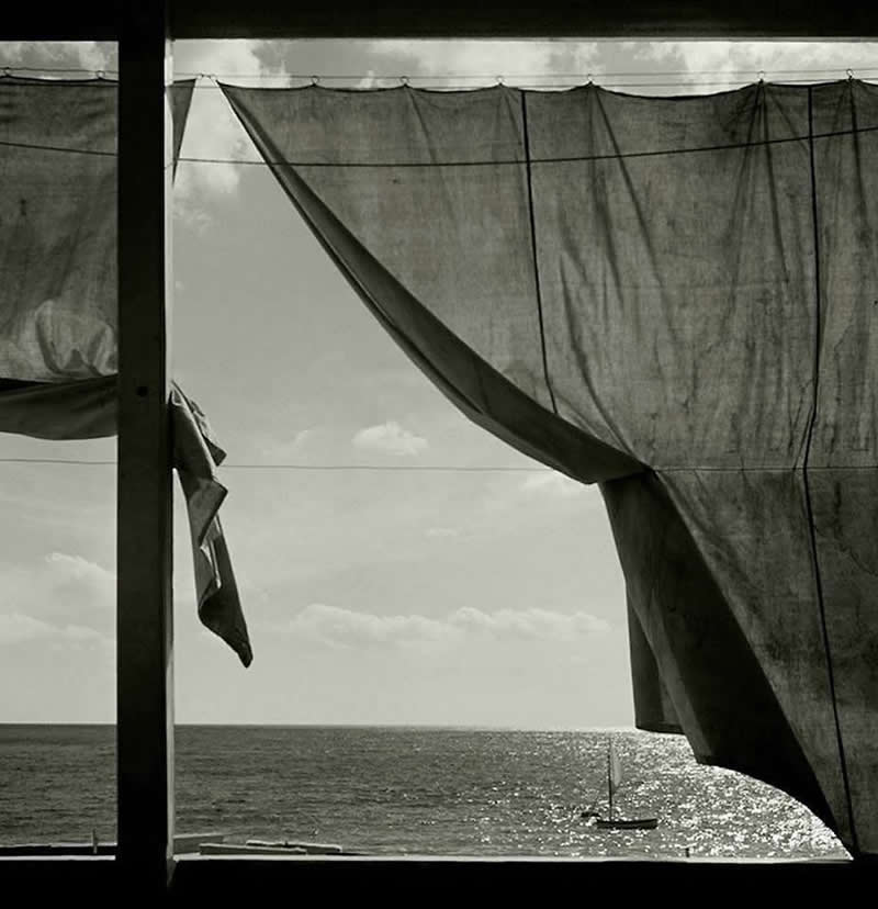 Analog Photographs That Capture the Timeless Beauty