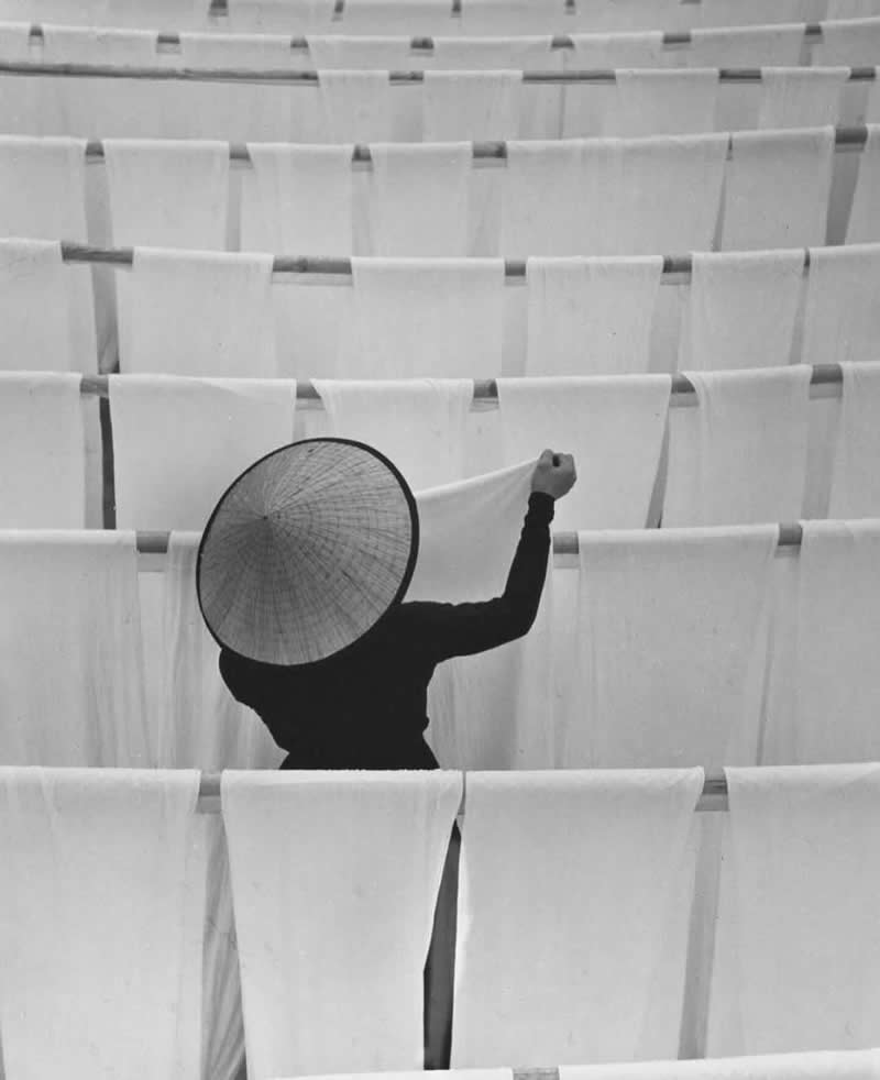 Analog Photographs That Capture the Timeless Beauty