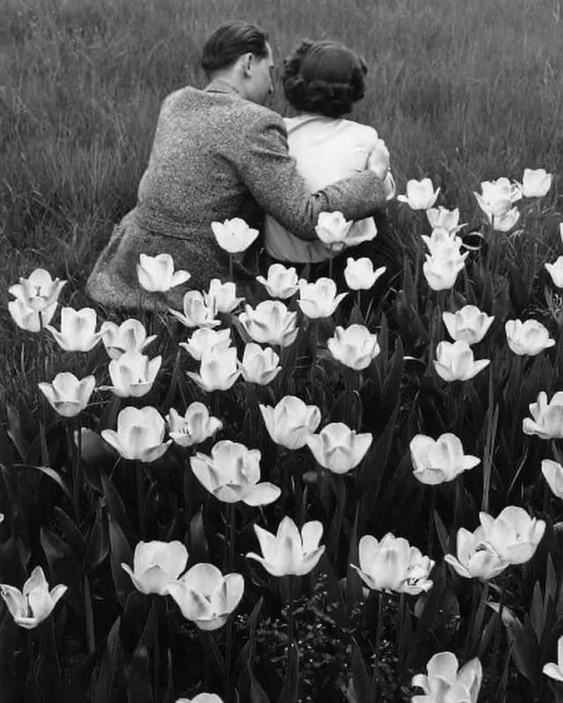 Analog Photographs That Capture the Timeless Beauty