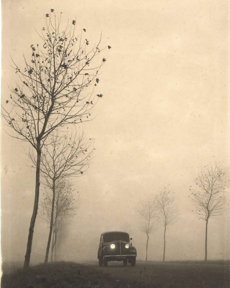 Analog Photographs That Capture the Timeless Beauty