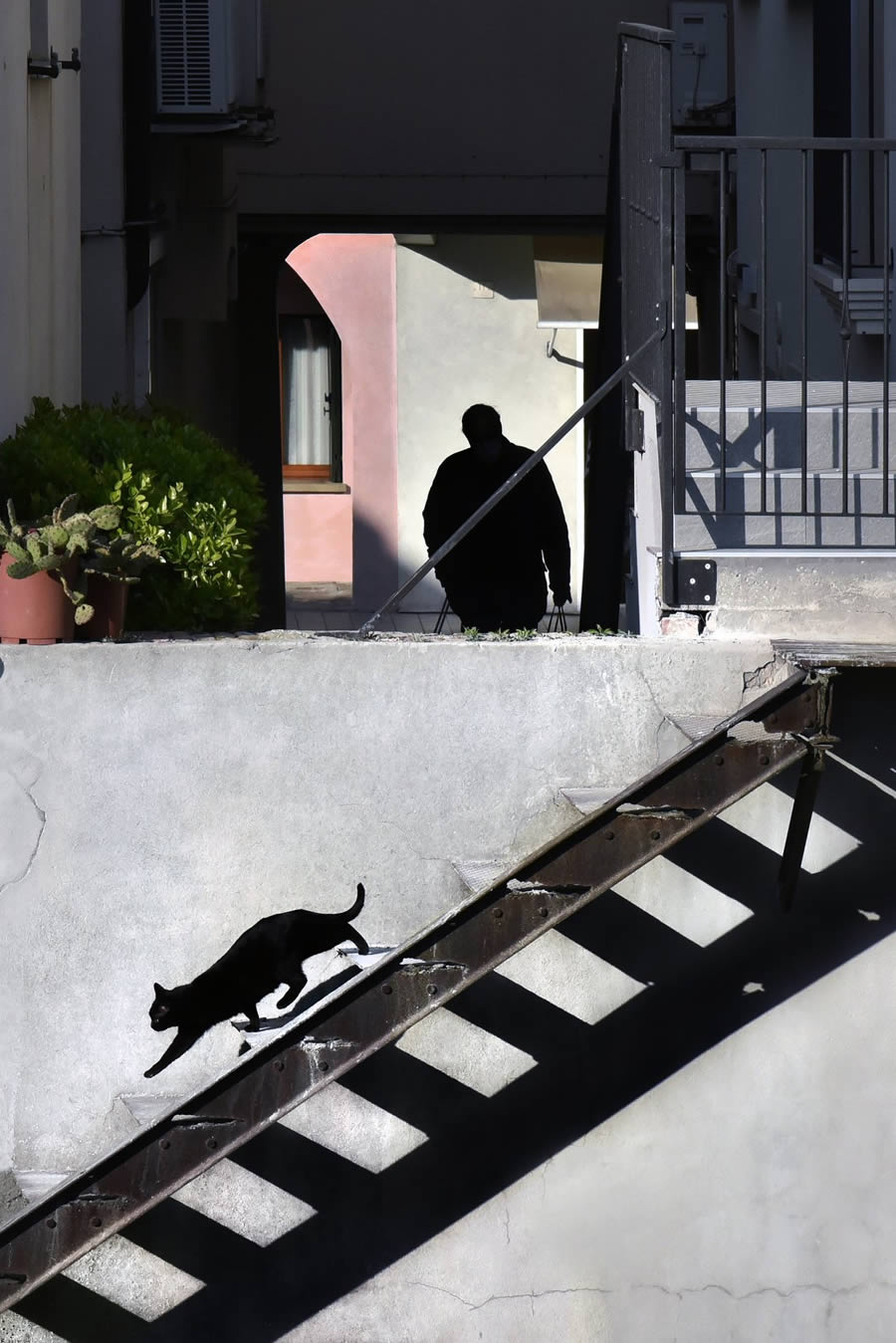 Award-Winning Street Photos of Urban Photography Awards