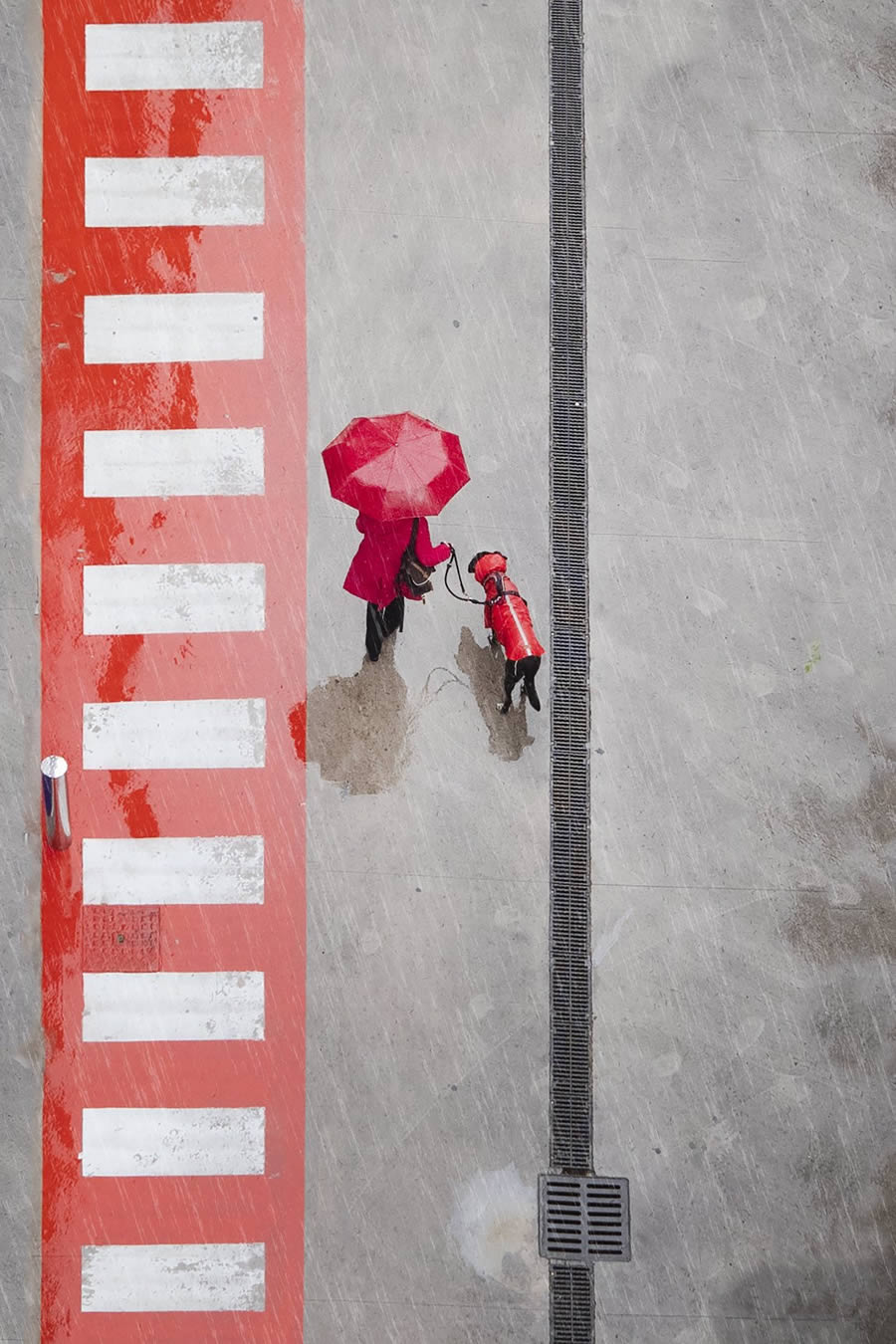 Award-Winning Street Photos of Urban Photography Awards