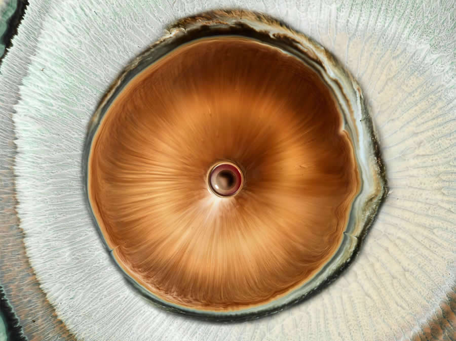 Liquid Eyes by Mark Mawson