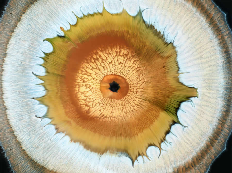 Liquid Eyes by Mark Mawson