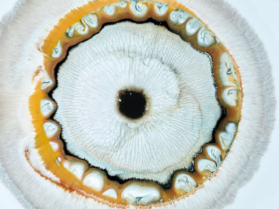 Liquid Eyes by Mark Mawson