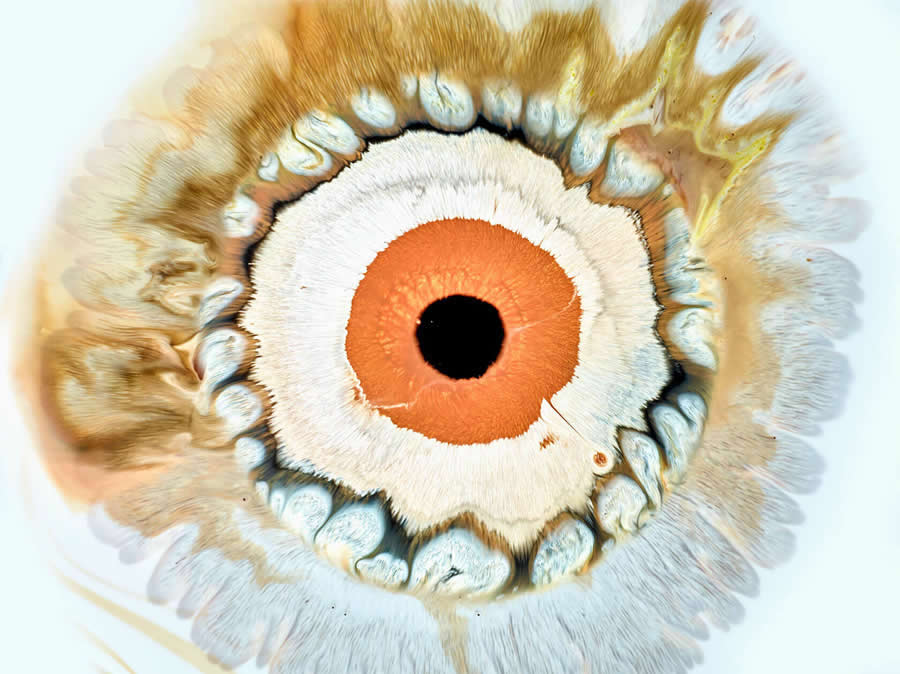 Liquid Eyes by Mark Mawson