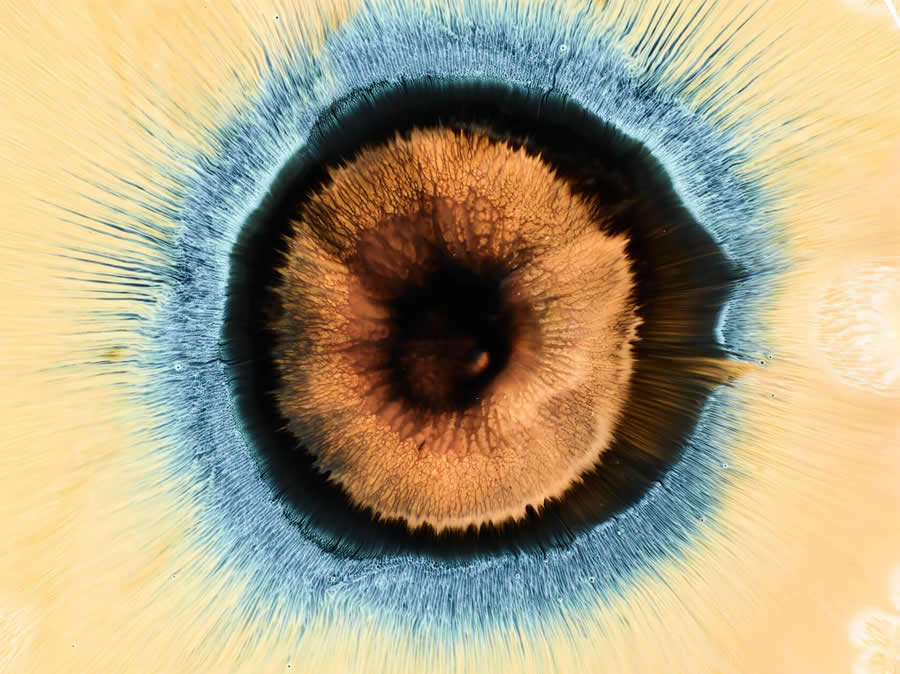 Liquid Eyes by Mark Mawson