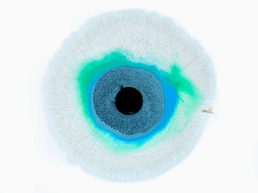 Liquid Eyes by Mark Mawson