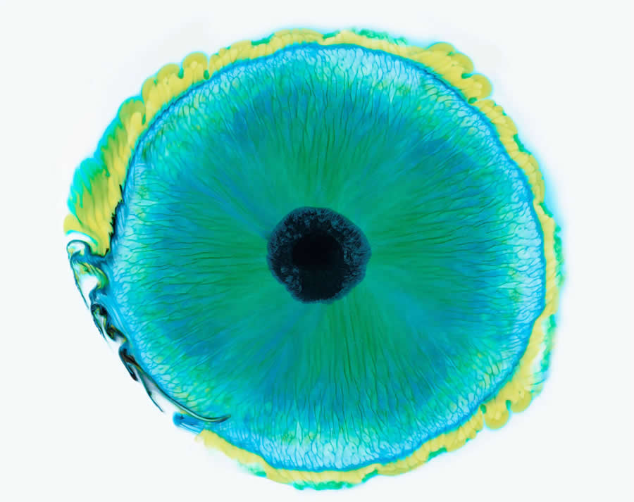 Liquid Eyes by Mark Mawson