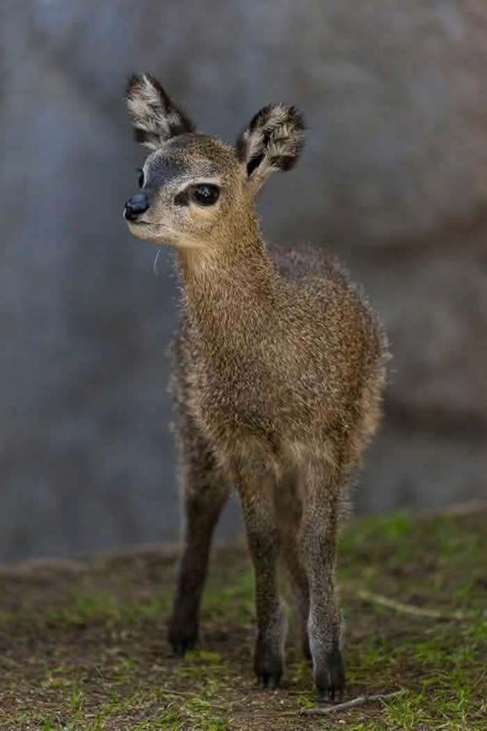 Pure Beauty of Nature